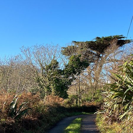 Ancaire Cottage Kilbronogue. Schull Exteriér fotografie