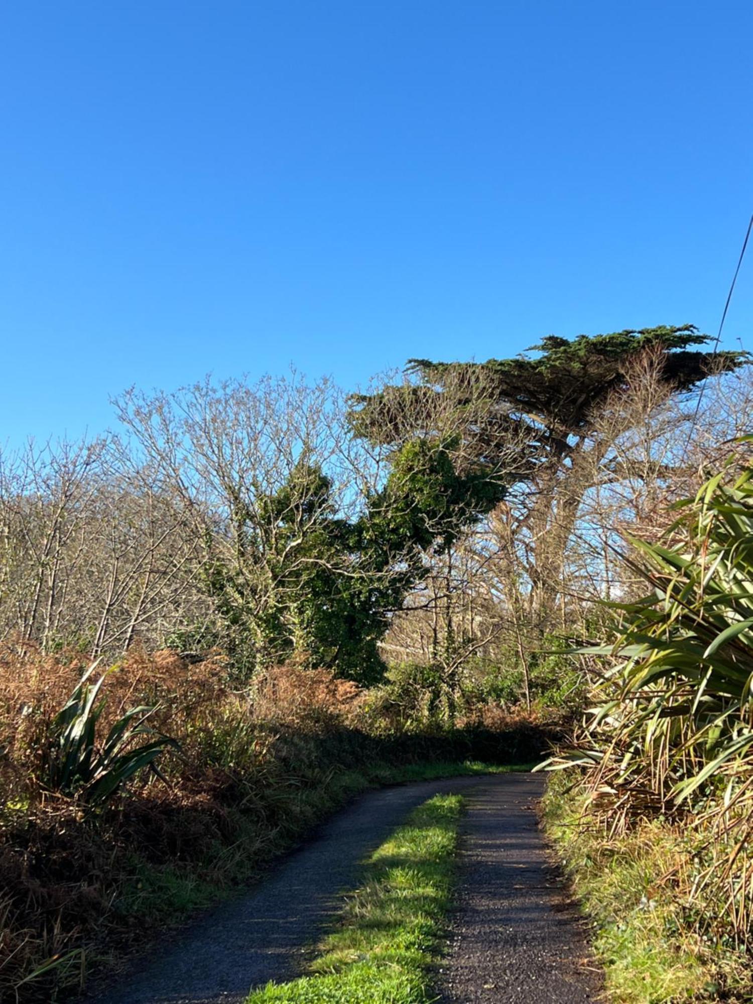 Ancaire Cottage Kilbronogue. Schull Exteriér fotografie